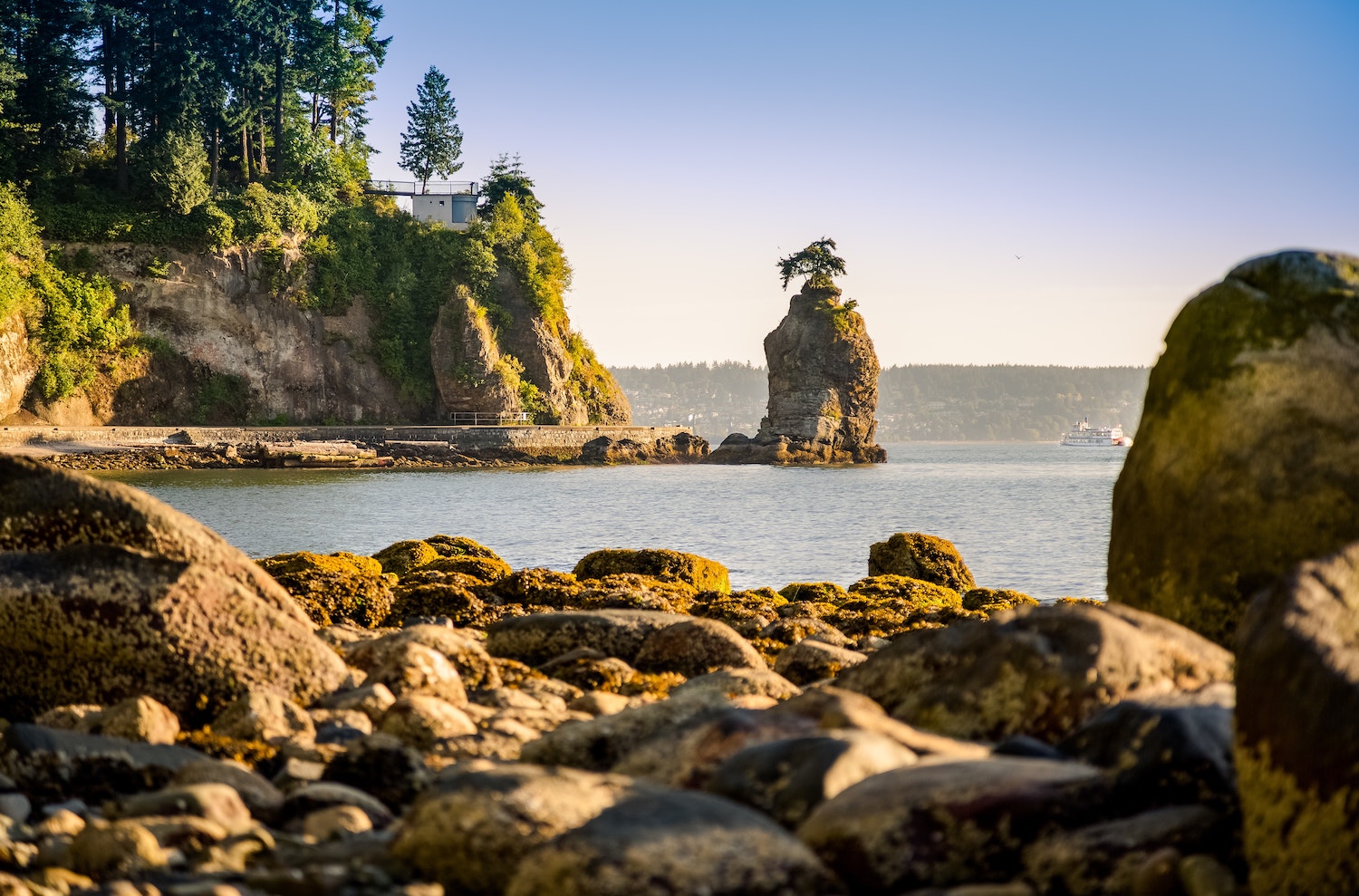 Vancouver seawall with rocks and water. About Reclaim Rehabilitation including team members